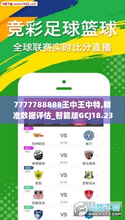王中王网四肖主一肖，探寻背后的神秘与魅力，王中王网四肖主一肖，神秘魅力背后的探寻