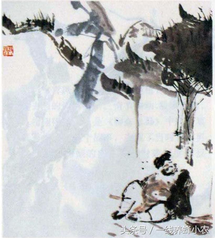 全彩奇怪妈妈的教育方式，一种独特而富有启示的教育探索，全彩独特教育方式，奇怪妈妈的启示与教育探索