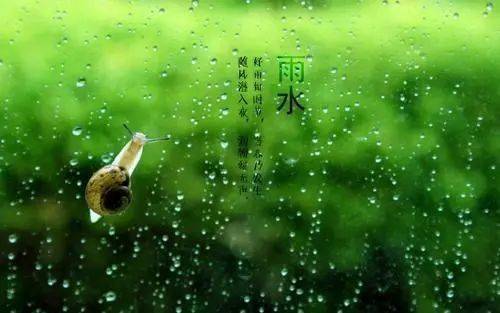 自然之美