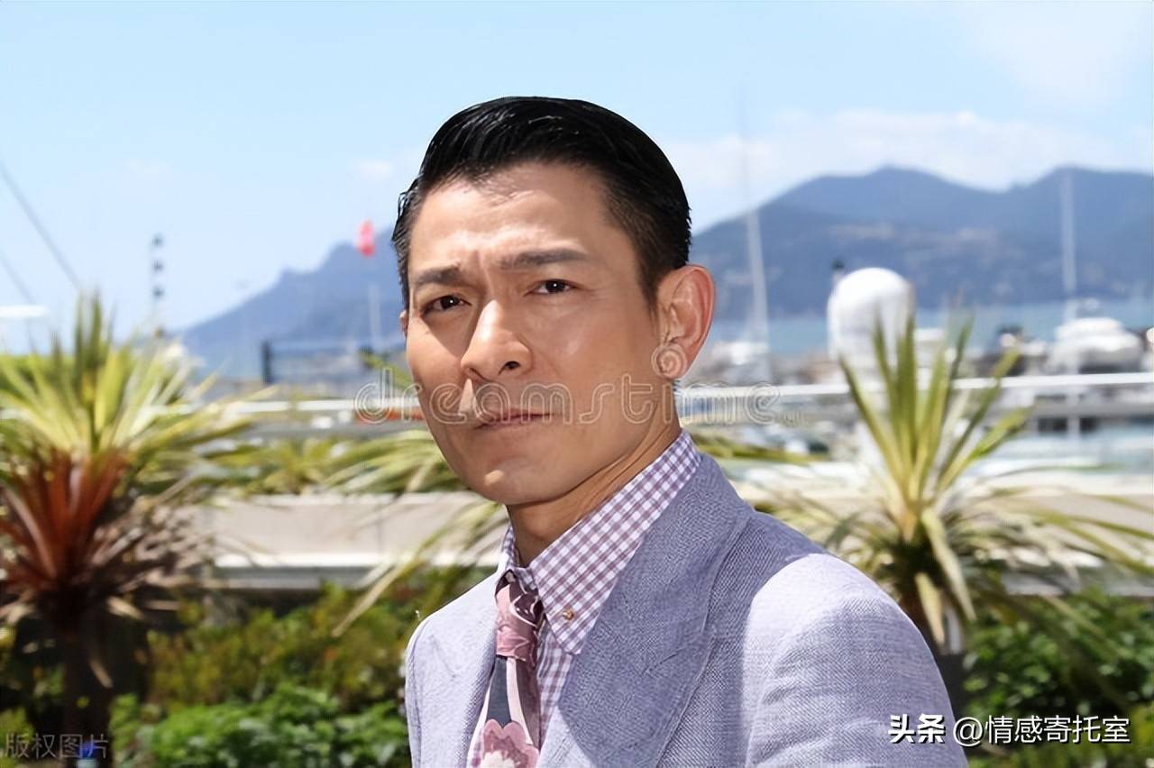 神秘预测背后的故事探寻