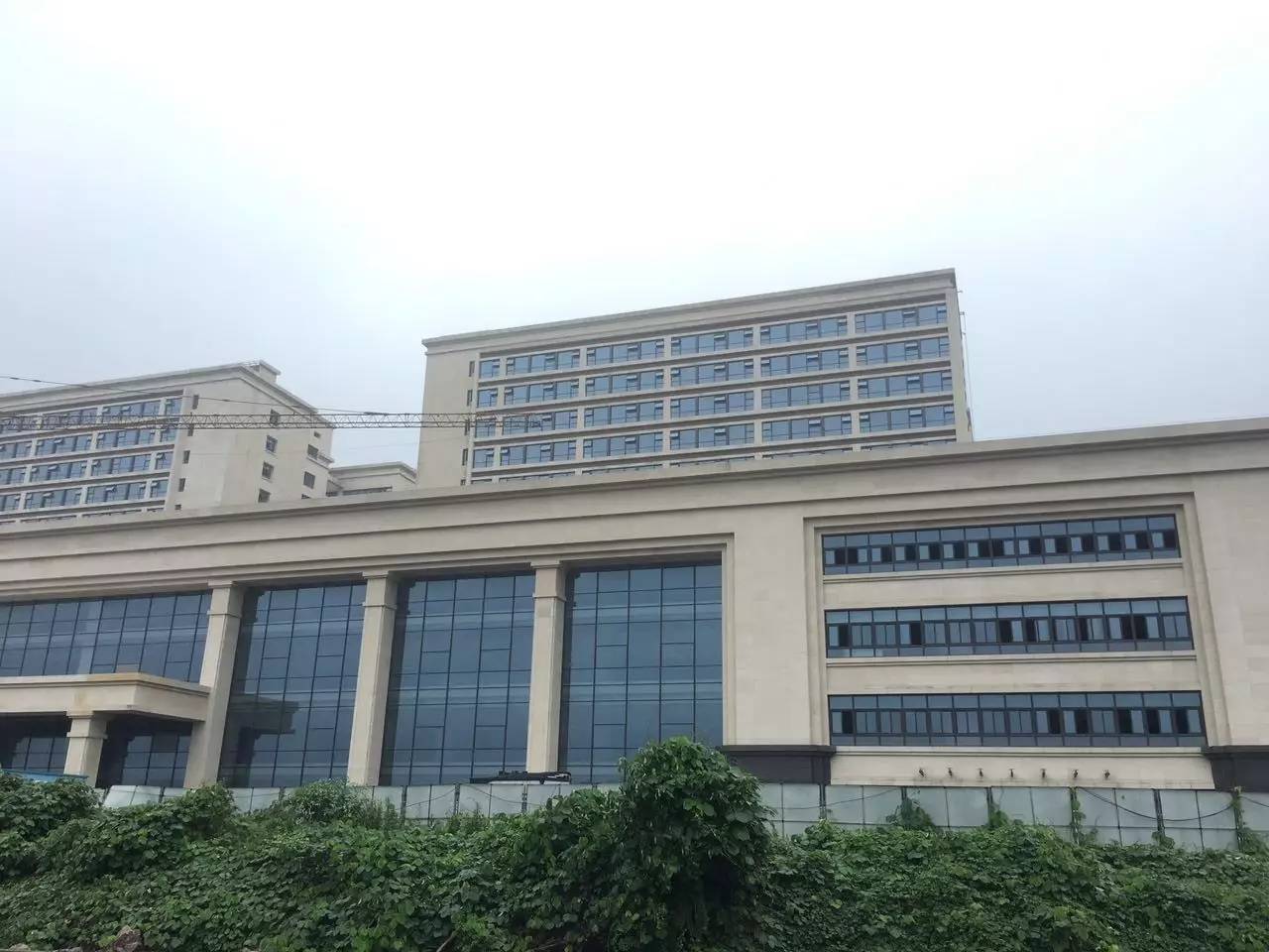 泉州江南医院，专业医疗服务的典范，泉州江南医院，专业医疗服务典范