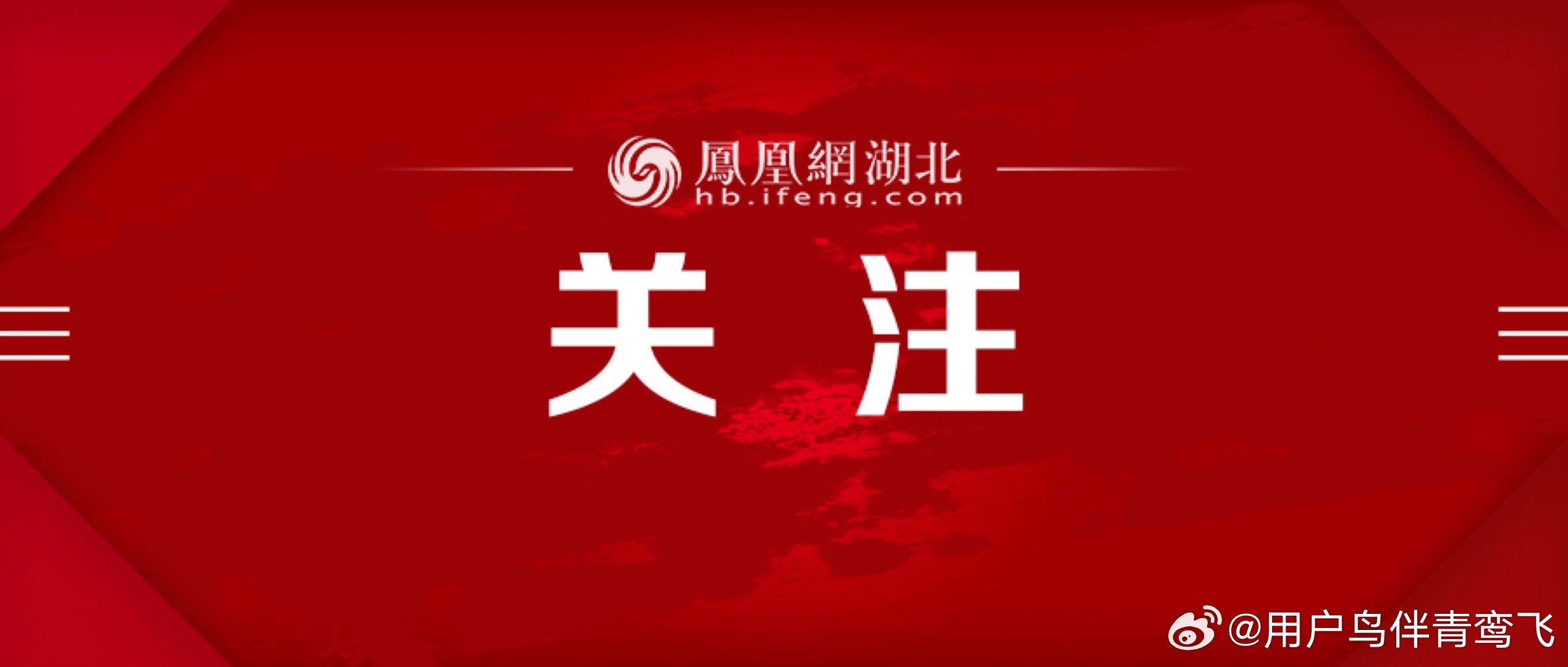 凤凰新闻网最新信息概览，凤凰新闻网最新信息概览，新闻摘要与动态更新