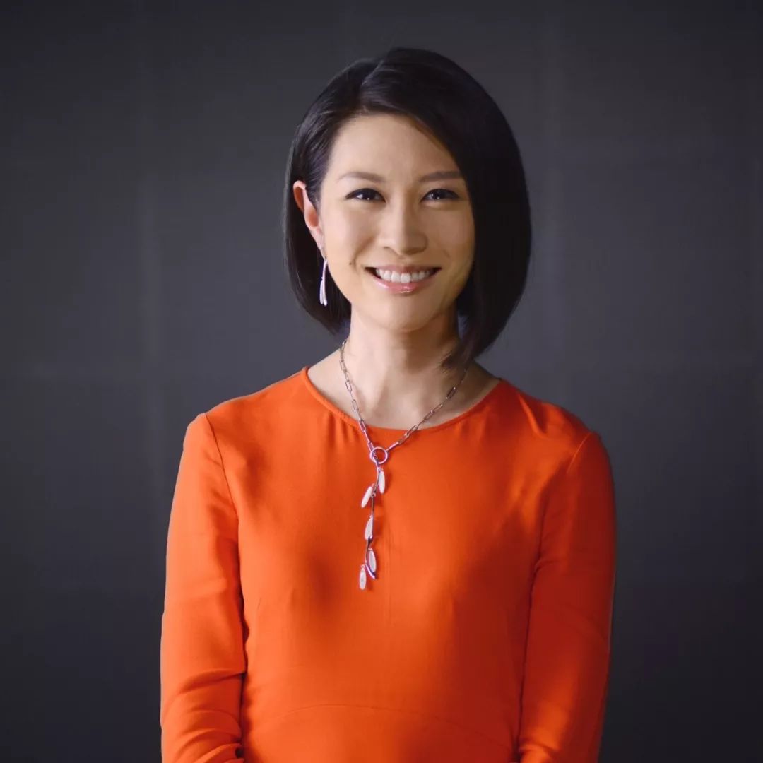 凤凰网新闻主持人名单，聚焦优秀新闻力量的璀璨群星，凤凰网新闻主持人名单，聚焦璀璨群星，展现优秀新闻力量