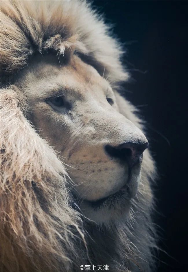 属于,探索人与事物的深层联系,人与事物深层联系的探索之旅