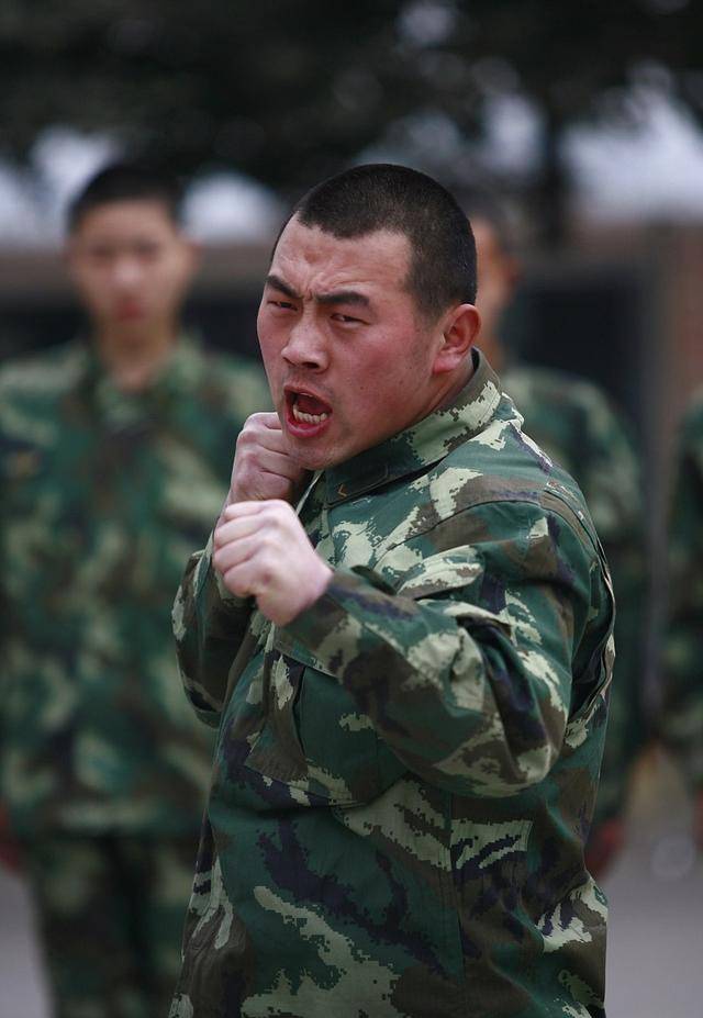 当兵陆军好还是武警好，探讨两种军事职业的差异与选择，陆军与武警，军事职业差异与选择探讨