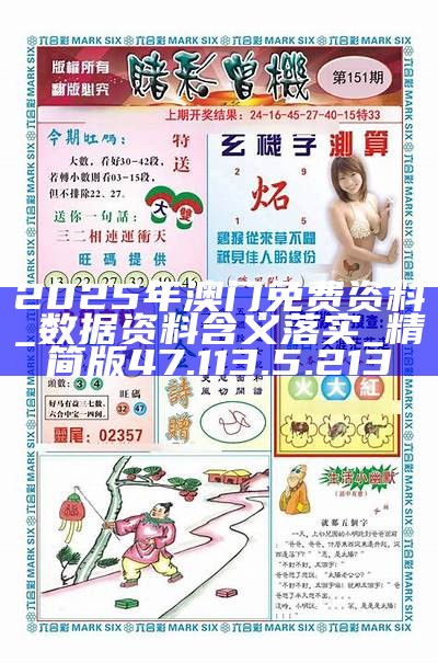 澳门正版资料免费查询，探索与前瞻至2025年，澳门正版资料免费查询，探索未来至2025年展望