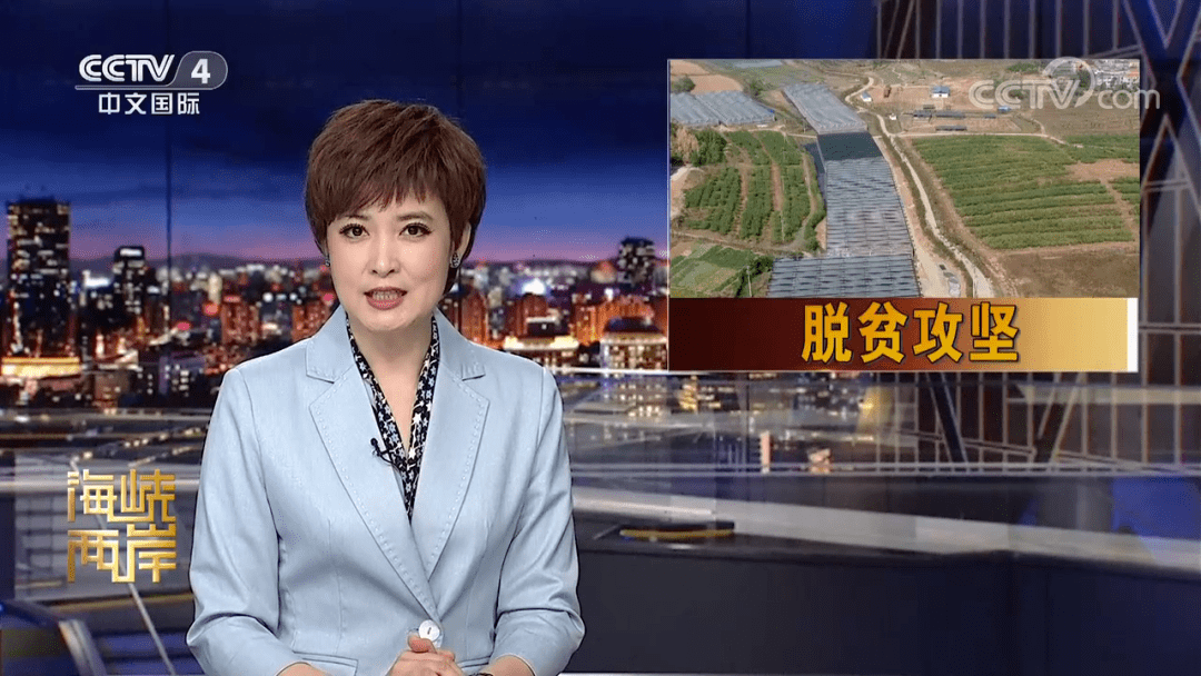 央视四套海峡两岸，深度解读两岸关系的重要窗口，央视四套海峡两岸，深度解读两岸关系的权威窗口