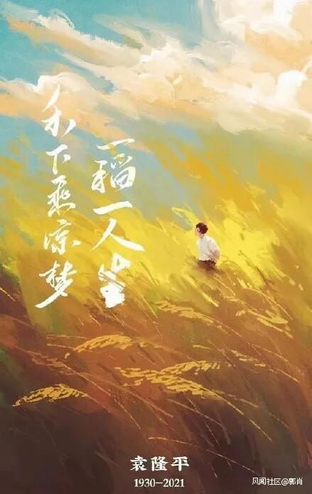 袁隆平，稻田里的国士无双，袁隆平，稻田骄子，国士无双