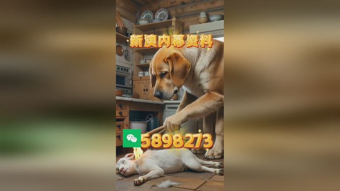 澳门精准四不像，探索与预测的未来展望，澳门精准四不像的未来展望与探索预测