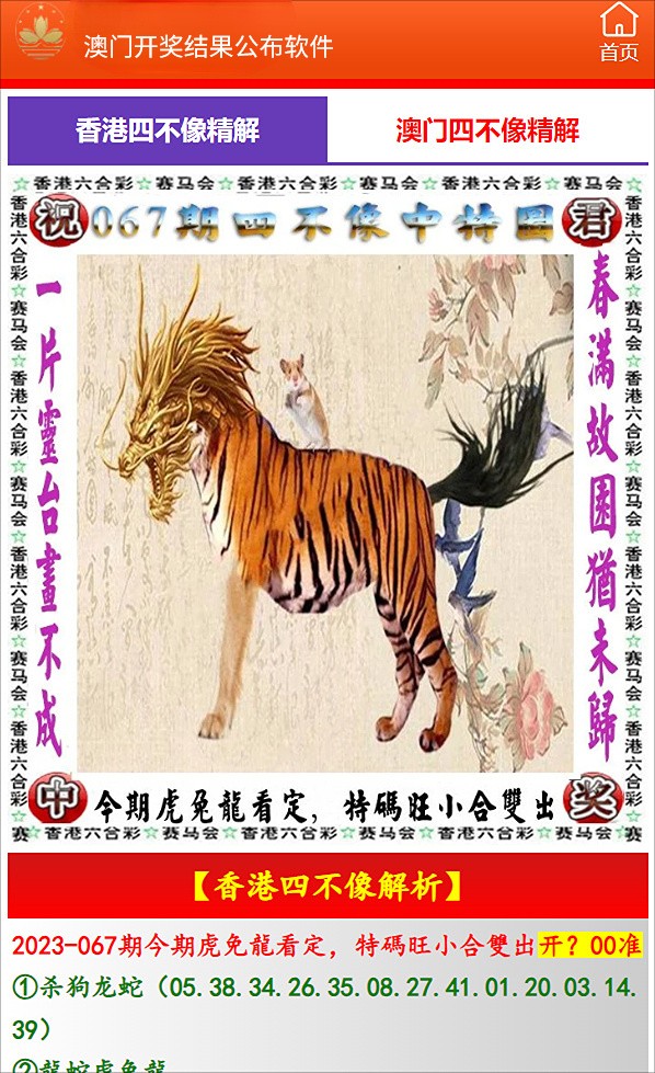 速度与激情