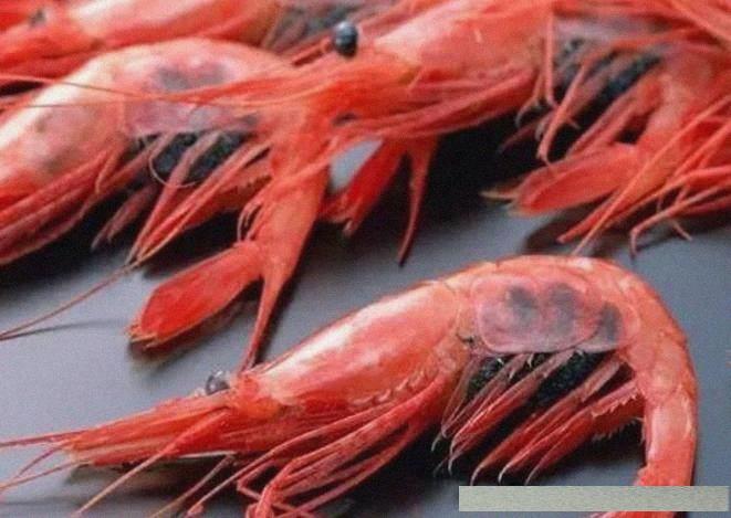台湾海属于什么海，深入解析与探讨，台湾海域深度解析与探讨，归属何类海域？