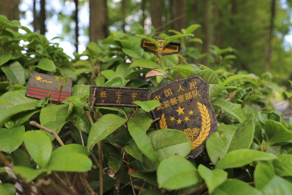 武警21式夏季迷彩，新时代军迷的骄傲，武警21式夏季迷彩，新时代军迷的荣耀风采