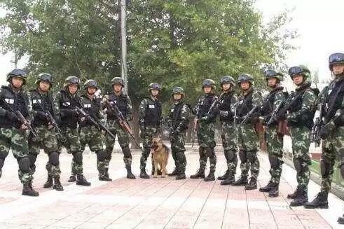 中国人民警察部队士官学校，培养新时代优秀士官人才的摇篮，中国人民警察部队士官学校，培养新时代优秀士官人才的摇篮基地