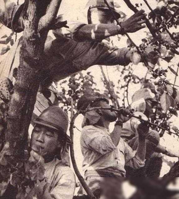 残酷真相