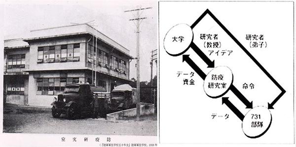 日本生化部队与僵尸，迷雾中的真相与谣言，日本生化部队与迷雾中的真相揭秘，僵尸背后的谣言与真相探索