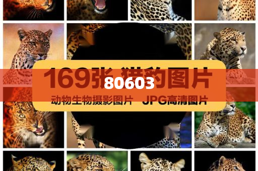 迈向新澳天天开好好，一个充满活力和机遇的时代展望，迈向新澳时代，活力与机遇的展望