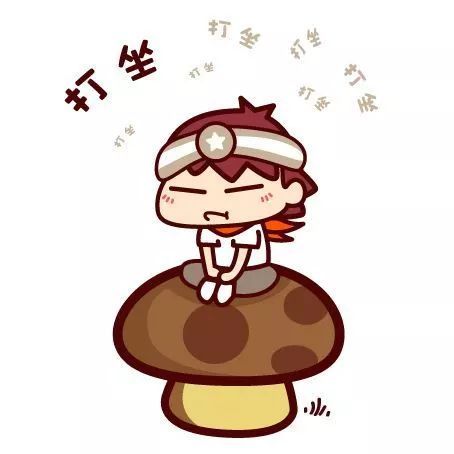 今天不吃素欺耳，探索饮食选择的多元与平衡，饮食多元与平衡，超越素食，探索真正的选择之道