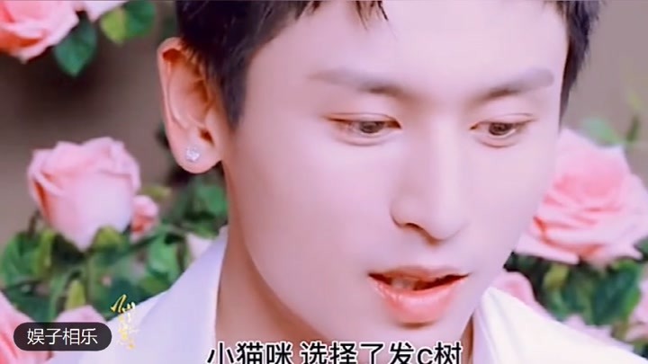 澳门正版资料大全