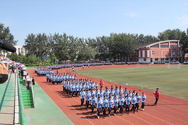 集团军训后的收获与感悟，集团军训，收获成长，感悟团队精神的力量