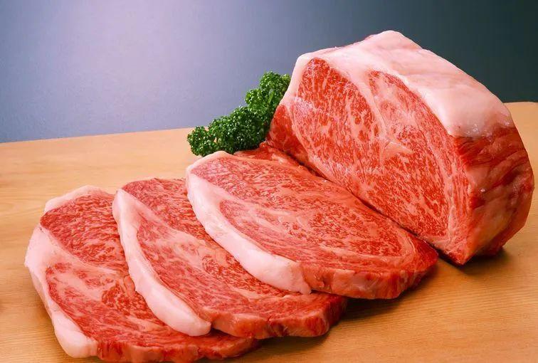 日本向俄罗斯宣战与今日香港，历史与现实的多维视角，日本对俄罗斯宣战与香港现状，历史与现实的交织分析