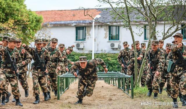 老兵打新兵事件原因探究，老兵打新兵事件原因深度探究