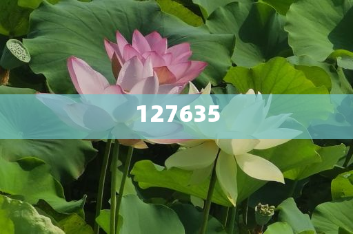 揭秘精准新传真背后的秘密，解码数字77777与88888的力量，揭秘数字传真背后的秘密，解码数字77777与88888的神秘力量