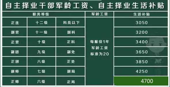 自主择业军转之路手机版，探索与启示，自主择业军转之路手机版，探索与启示的启示