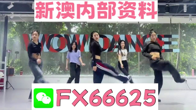 新澳精准资料免费提供的深度解析与影响，新澳精准资料免费提供的深度解析及其影响