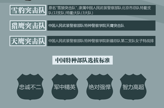 中国特种部队排名之狼牙，中国特种部队排名揭秘，狼牙上榜