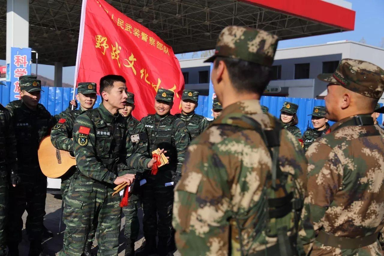 天津武警指挥学院录取分数线详解，天津武警指挥学院录取分数线全面解析