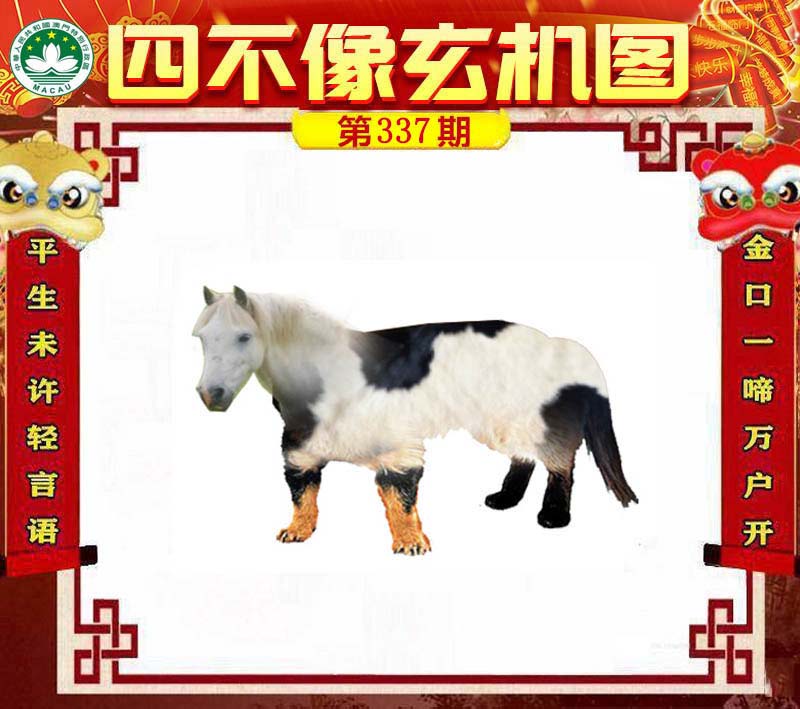 王中王必中一肖四不像——探寻神秘现象背后的真相，揭秘王中王必中一肖四不像的神秘真相