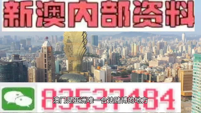 全网最精准澳门资料2025年展望与深度解析，全网独家解析，澳门未来展望与深度解析（2025年展望）
