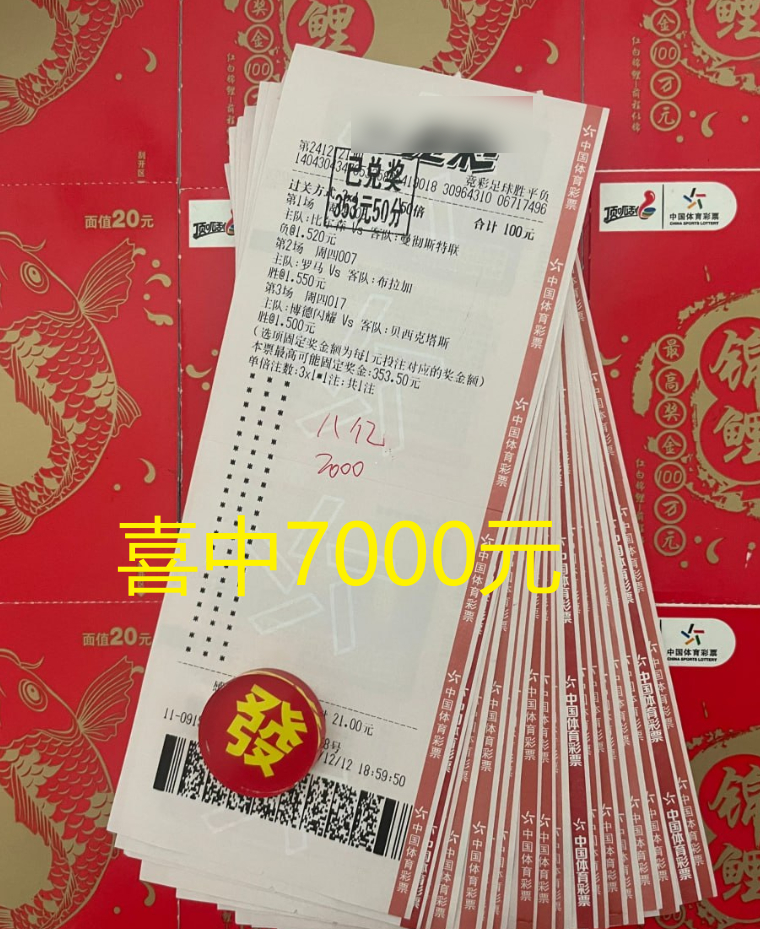 澳彩公证处一码三中三，公正与透明的彩票新世界，澳彩公证处公正透明，彩票新世界的一码三中三