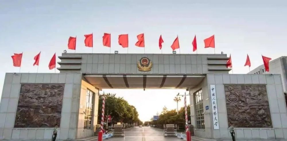 特种警察学院毕业去向，未来精英的多元发展路径，特种警察学院毕业生的未来精英发展路径与多元发展去向