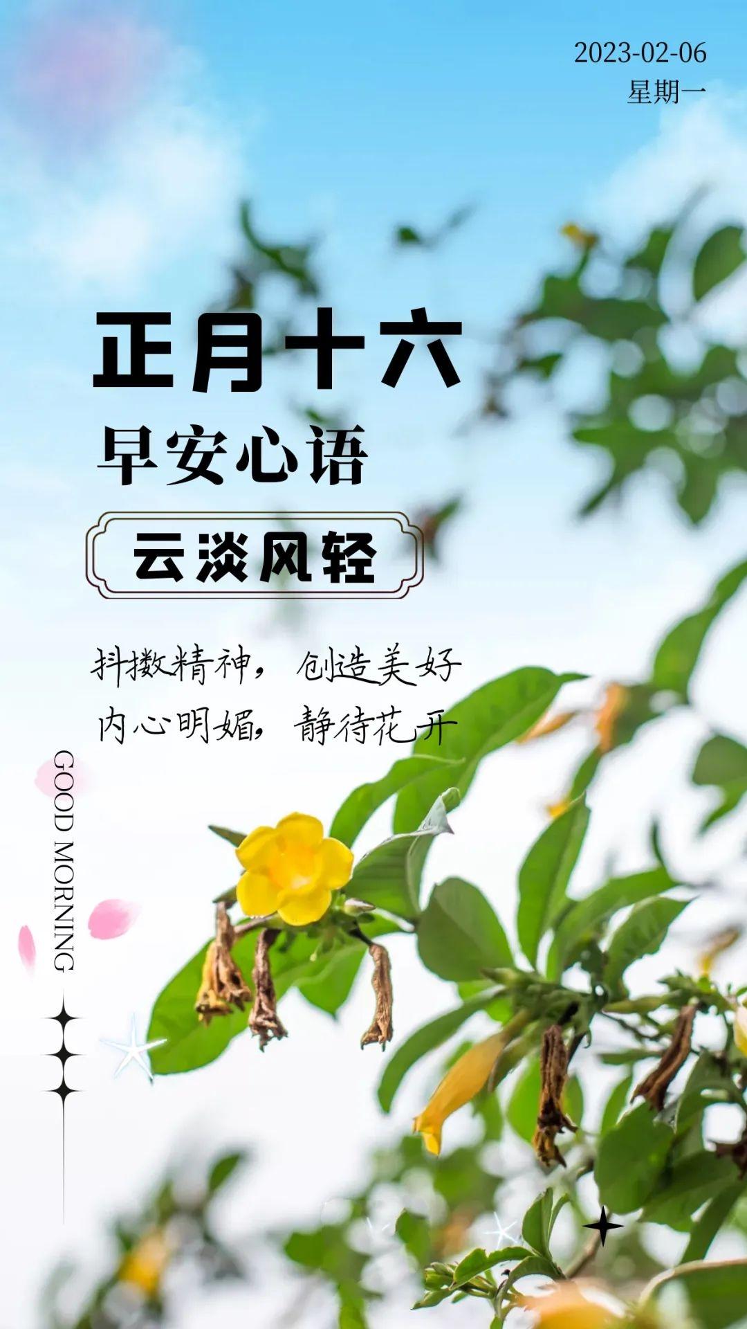 直-20数量在2023年的最新进展，直-20在2023年的最新数量进展揭秘