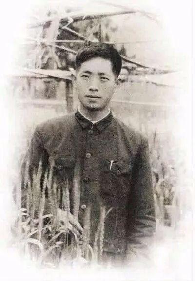 共和国勋章，九位杰出人物的荣耀时刻，共和国勋章，九位杰出人物的荣耀瞬间
