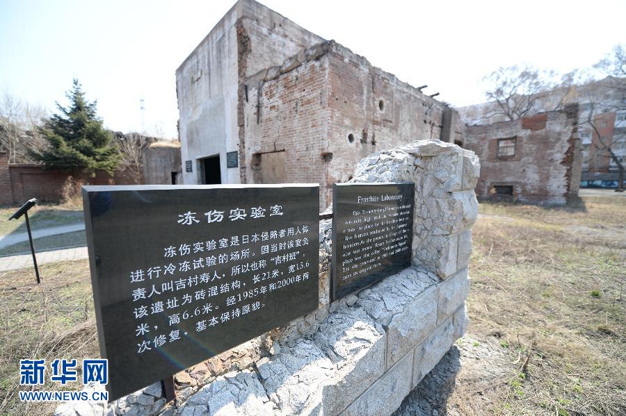 探寻历史记忆，关于5446部队遗址与遗体照片的故事，探寻历史记忆，揭秘5446部队遗址与遗体照片背后的故事