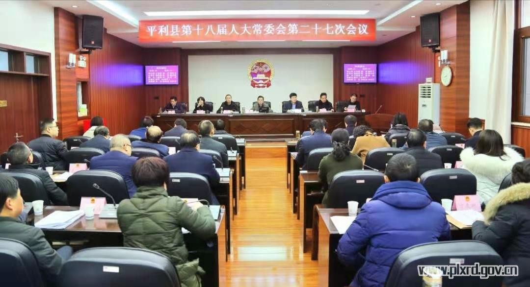台湾政策法审议最新消息深度解析，台湾政策法最新审议消息深度解析