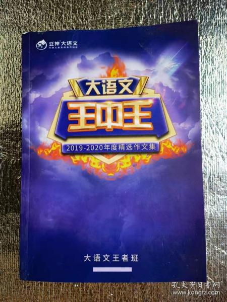 王中王资料一肖中特天神，揭示神秘面纱下的真相，王中王资料揭秘，一肖中的天神与神秘真相