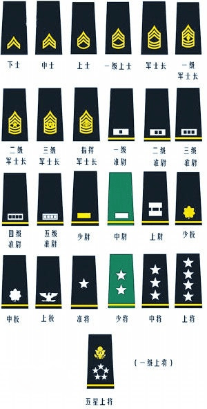 胸标军衔图解，揭示军队等级与荣誉的象征，胸标军衔图解，揭示军队等级与荣誉的标识
