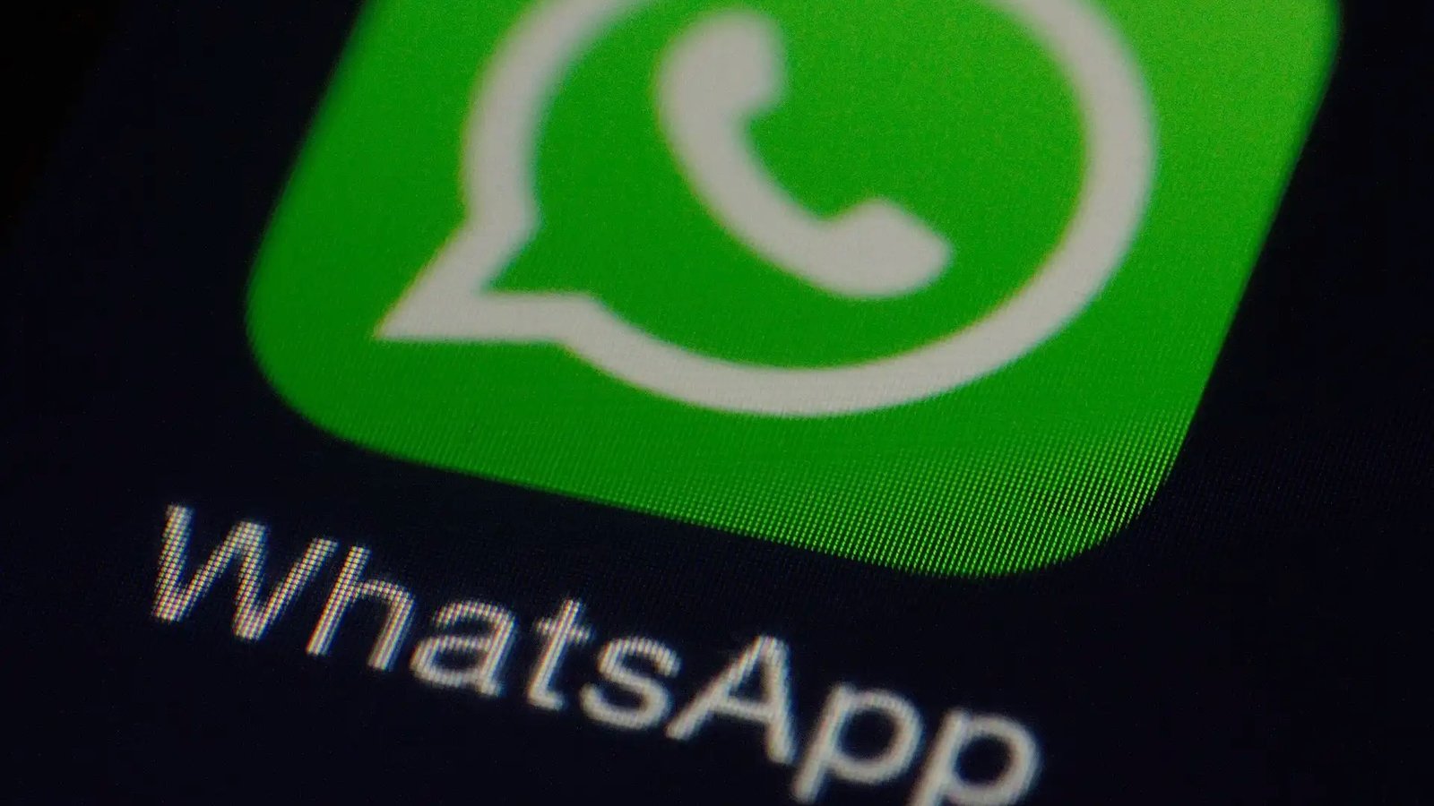 WhatsApp最新消息，探索更新背后的变化与趋势，WhatsApp最新动态揭秘，更新背后的变化与趋势