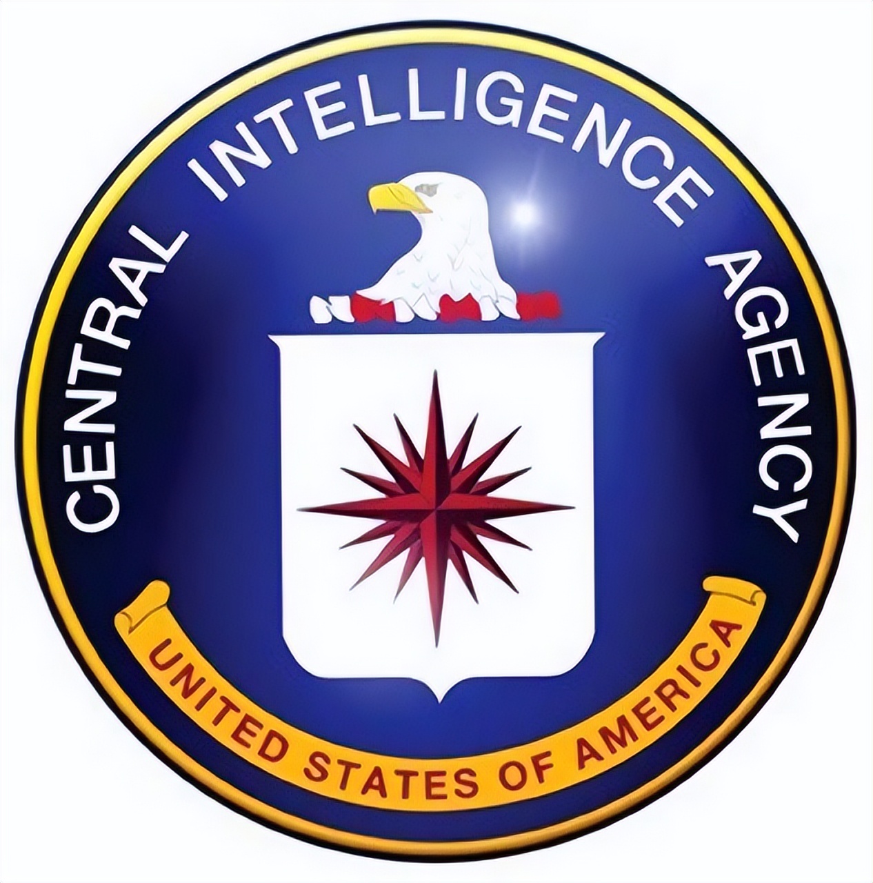 国际观察视角下的CIA，CIA国际观察视角下的深度解析