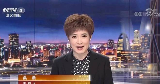 原海峡两岸主持人名单及其影响力分析，海峡两岸主持人名单及影响力解析
