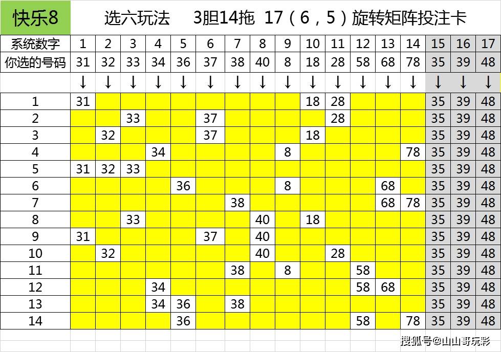 王中王一肖中铁一吗尾数，探寻背后的故事与意义，探寻王中王一肖中铁一尾数背后的故事与寓意