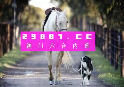 澳门正版49图库资料的重要性及其免费获取的途径,澳门正版49图库资料的重要性及免费获取途径解析