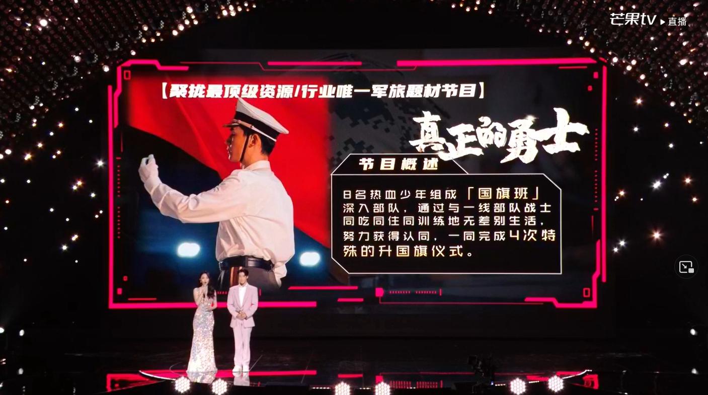 海陆空三军仪仗队画，荣耀的象征与艺术的展现，海陆空三军仪仗队画作，荣耀与艺术的双重象征