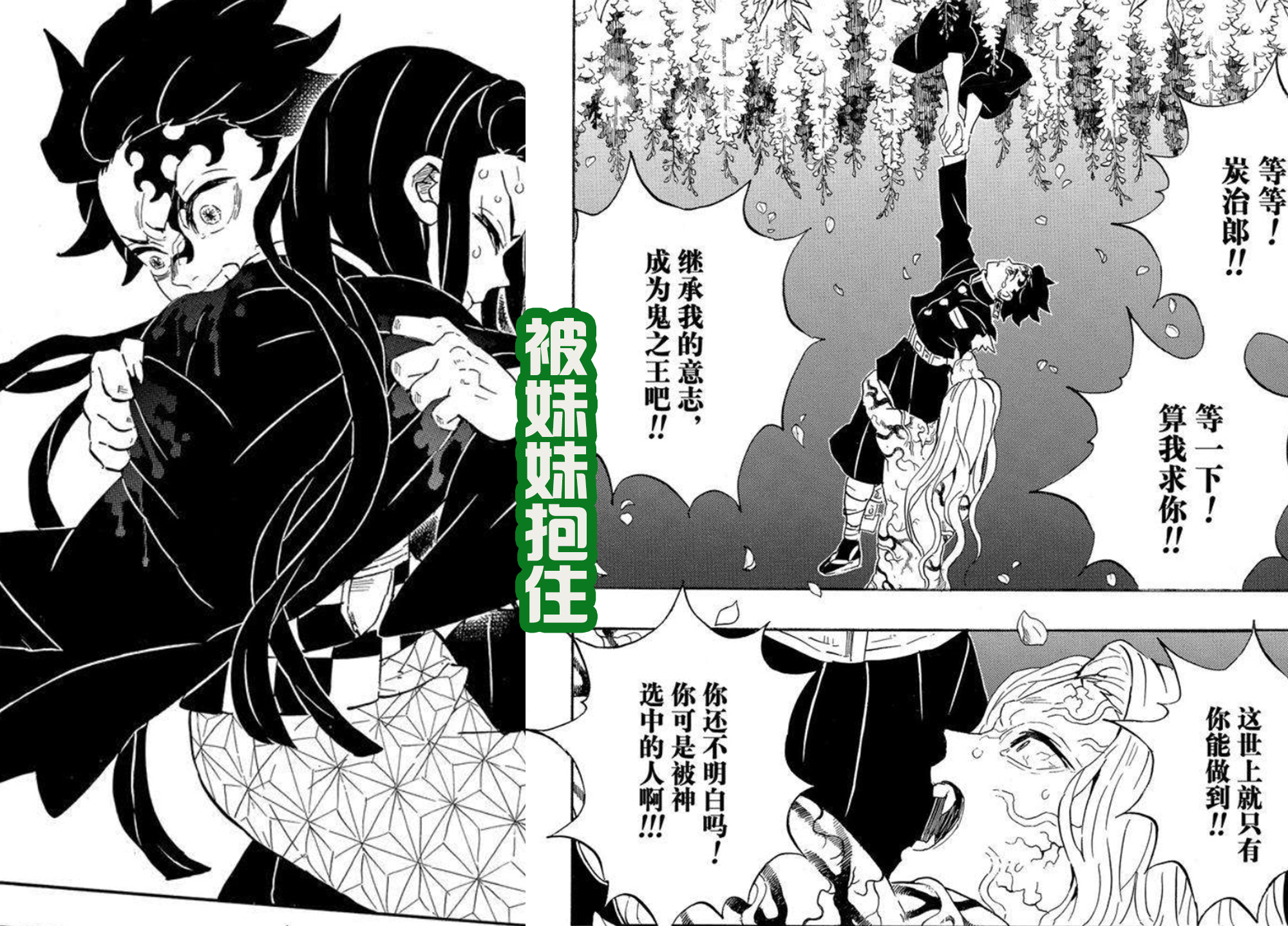 鬼灭之刃肉车R18无惨，深入探索与解析，鬼灭之刃肉车R18无惨，深度探索与全面解析
