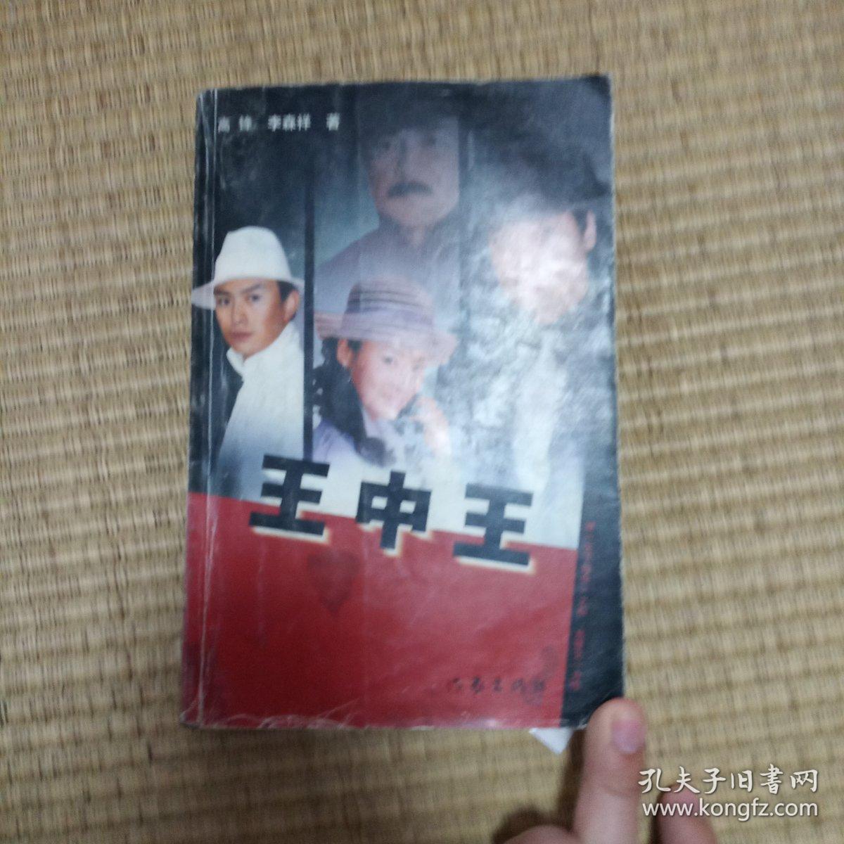 王中王资料与肖申特的探索，深度解析与关联研究，王中王资料与肖申特探索，深度解析与关联研究探索