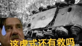 揭秘罕见的虎式坦克残骸，探寻历史深处的秘密——关于虎式坦克残骸图片的故事，探寻虎式坦克残骸背后的历史秘密与图片故事