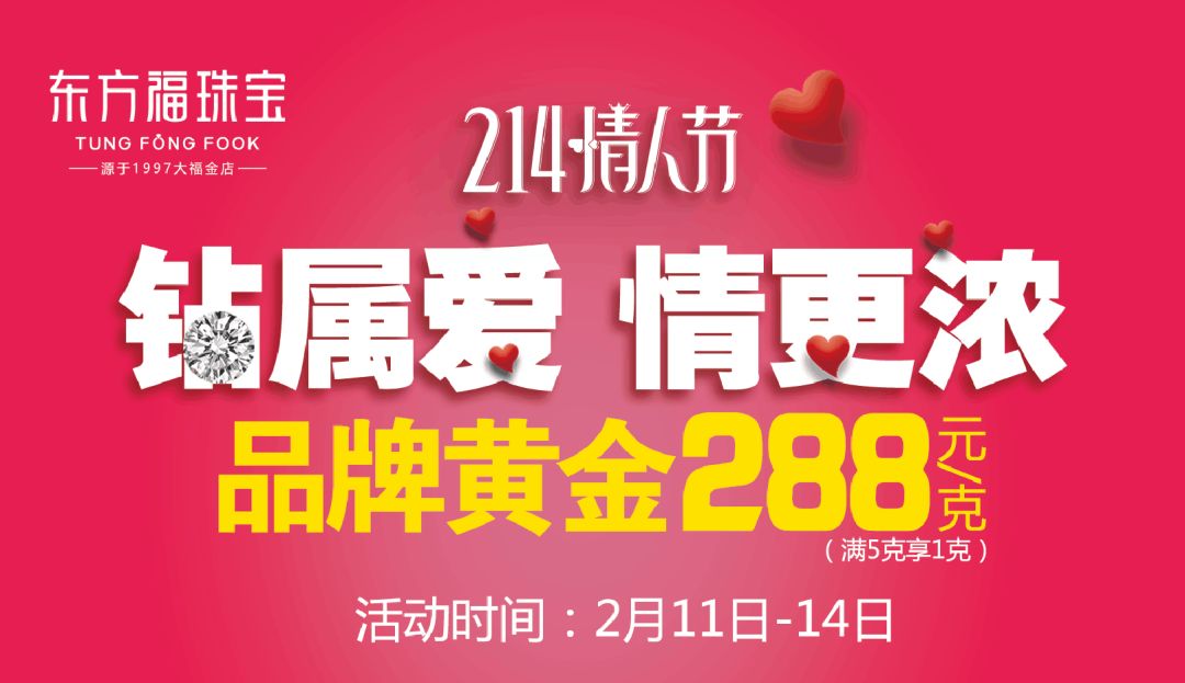 二月国际时事新闻概览，二月国际时事新闻概览，全球动态速递